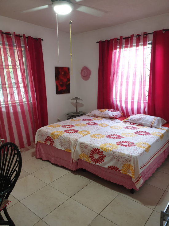 Bajan Flamingo House -